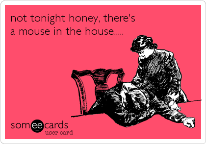 not tonight honey, there's
a mouse in the house.....
