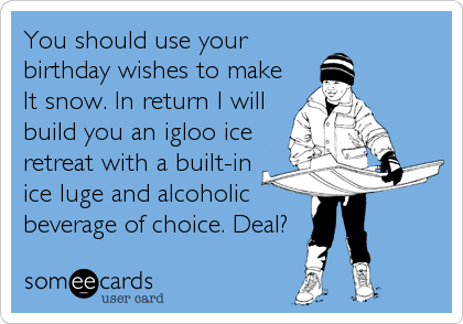 You should use your
birthday wishes to make
It snow. In return I will
build you an igloo ice
retreat with a built-in
ice luge and alcoholic<br %