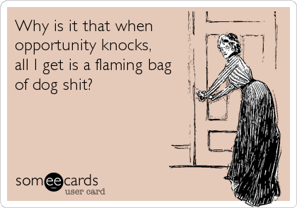 Why is it that when
opportunity knocks, 
all I get is a flaming bag
of dog shit?