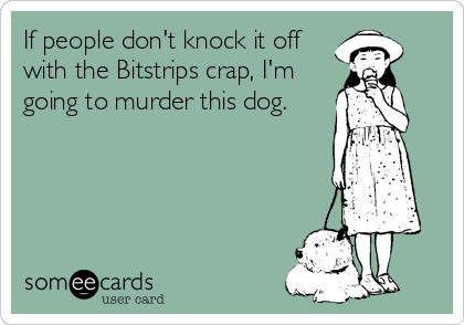 If people don't knock it off
with the Bitstrips crap, I'm
going to murder this dog.