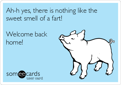 Ah-h yes, there is nothing like the
sweet smell of a fart!

Welcome back
home!