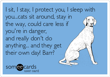 I sit, I stay, I protect you, I sleep with
you...cats sit around, stay in 
the way, could care less if
you're in danger, 
and really don't do
anything... and they get
their own day! Barr?