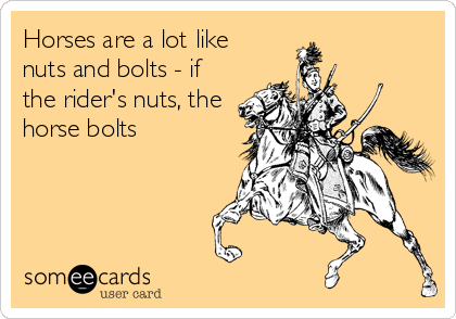 Horses are a lot like 
nuts and bolts - if
the rider's nuts, the
horse bolts