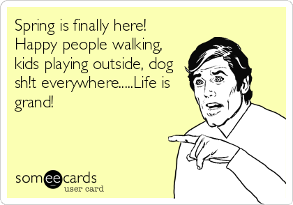 Spring is finally here!
Happy people walking,
kids playing outside, dog
sh!t everywhere.....Life is
grand!