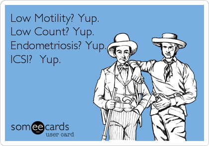 Low Motility? Yup. 
Low Count? Yup.  
Endometriosis? Yup.
ICSI?  Yup.