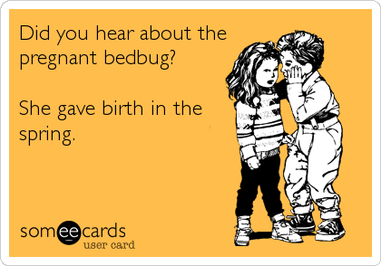 Did you hear about the
pregnant bedbug?  

She gave birth in the
spring.  