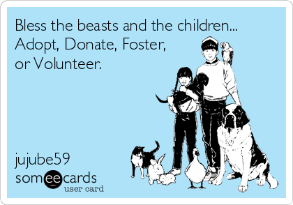 Bless the beasts and the children...
Adopt, Donate, Foster,
or Volunteer.



  
jujube59