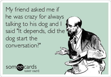 My friend asked me if
he was crazy for always
talking to his dog and I
said "It depends, did the
dog start the
conversation?"