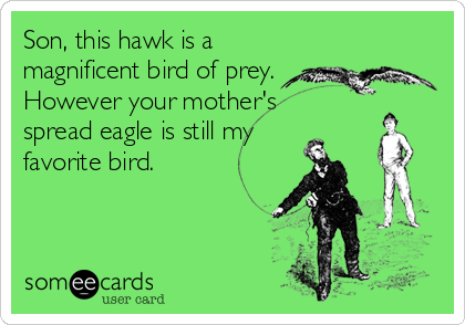 Son, this hawk is a
magnificent bird of prey.
However your mother's 
spread eagle is still my
favorite bird.