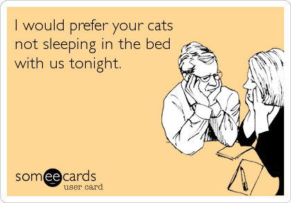 I would prefer your cats
not sleeping in the bed
with us tonight.