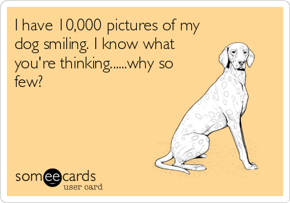 I have 10,000 pictures of my
dog smiling. I know what
you're thinking......why so
few?