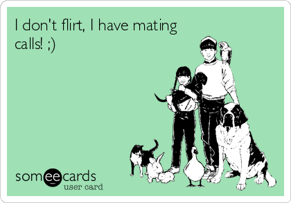 I don't flirt, I have mating
calls! ;)