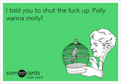 I told you to shut the fuck up, Polly
wanna molly?