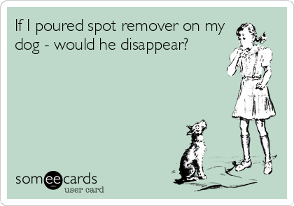 If I poured spot remover on my
dog - would he disappear?