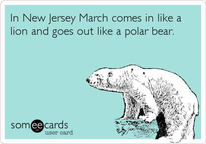 In New Jersey March comes in like a
lion and goes out like a polar bear.