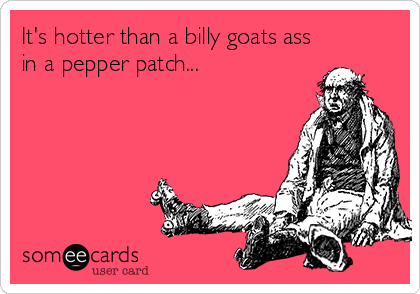 It's hotter than a billy goats ass
in a pepper patch...