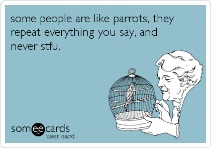 some people are like parrots, they
repeat everything you say, and
never stfu.