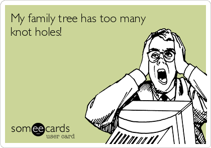 My family tree has too many
knot holes!