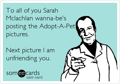 To all of you Sarah
Mclachlan wanna-be's
posting the Adopt-A-Pet
pictures.

Next picture I am
unfriending you.