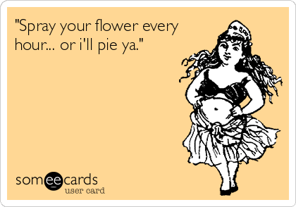 "Spray your flower every
hour... or i'll pie ya."