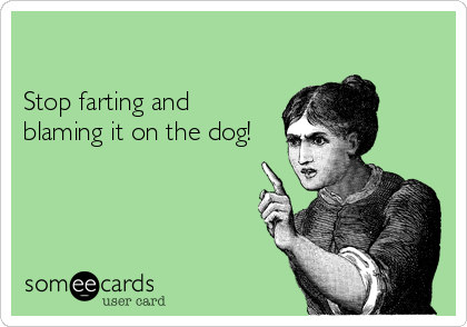 

Stop farting and 
blaming it on the dog!