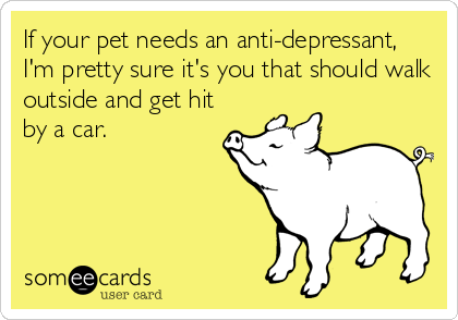 If your pet needs an anti-depressant,
I'm pretty sure it's you that should walk
outside and get hit
by a car.