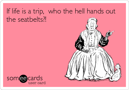 If life is a trip,  who the hell hands out
the seatbelts?!