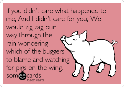If you didn't care what happened to
me, And I didn't care for you, We
would zig zag our
way through the
rain wondering
which of the buggers
to blame and watching
for pigs on the wing.