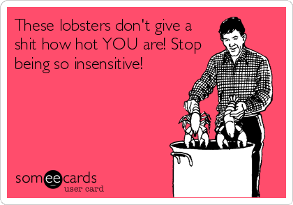 These lobsters don't give a
shit how hot YOU are! Stop
being so insensitive!