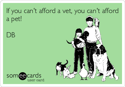 If you can't afford a vet, you can't afford
a pet!

DB