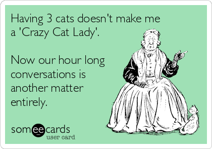 Having 3 cats doesn't make me 
a 'Crazy Cat Lady'.

Now our hour long
conversations is
another matter
entirely.