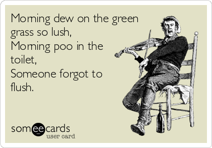 Morning dew on the green
grass so lush,
Morning poo in the
toilet,
Someone forgot to
flush.