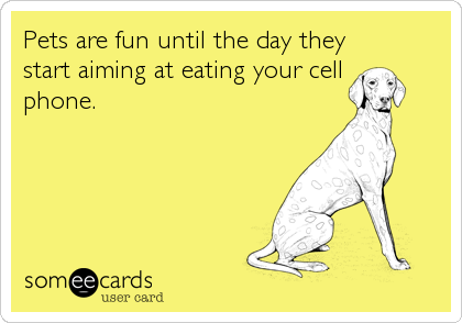 Pets are fun until the day they
start aiming at eating your cell  
phone.