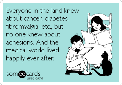 Everyone in the land knew
about cancer, diabetes,
fibromyalgia, etc., but
no one knew about
adhesions. And the 
medical world lived
happily ever after.
