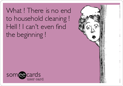 What ! There is no end
to household cleaning ! 
Hell ! I can't even find
the beginning !