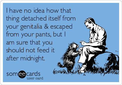 I have no idea how that
thing detached itself from
your genitalia & escaped
from your pants, but I
am sure that you
should not feed it
after midnight.
