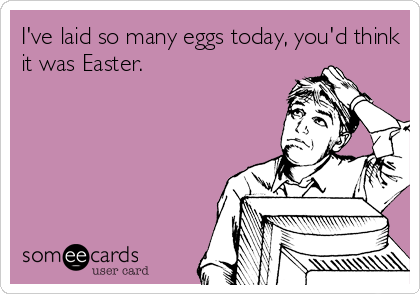 I've laid so many eggs today, you'd think
it was Easter.