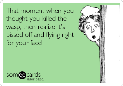 That moment when you
thought you killed the
wasp, then realize it's
pissed off and flying right 
for your face!