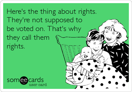 Here's the thing about rights.
They're not supposed to
be voted on. That's why
they call them
rights.