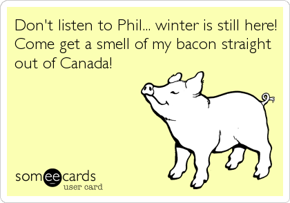 Don't listen to Phil... winter is still here!
Come get a smell of my bacon straight
out of Canada!