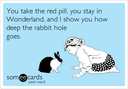 You take the red pill, you stay in
Wonderland, and I show you how
deep the rabbit hole
goes.