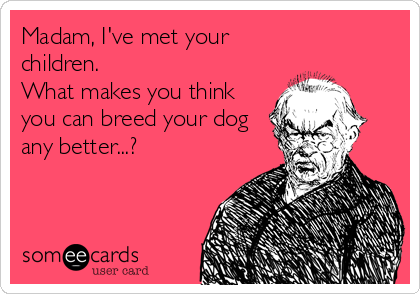 Madam, I've met your
children. 
What makes you think
you can breed your dog
any better...?