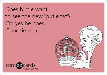 Does birdie want
to see the new "putie tat"? 
Oh yes he does,
Coochie coo...