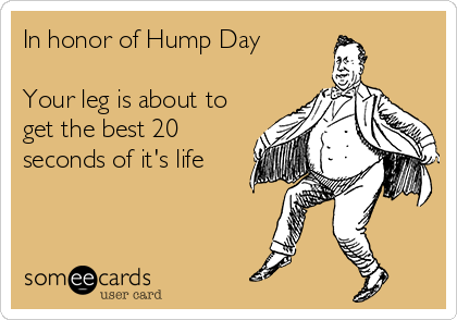 In honor of Hump Day

Your leg is about to
get the best 20
seconds of it's life