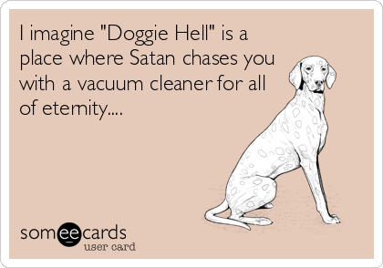 I imagine "Doggie Hell" is a
place where Satan chases you
with a vacuum cleaner for all
of eternity....