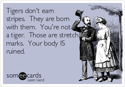 Tigers don't earn
stripes.  They are born
with them.  You're not
a tiger.  Those are stretch
marks.  Your body IS
ruined.