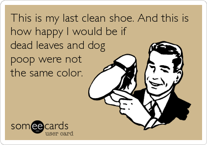This is my last clean shoe. And this is
how happy I would be if
dead leaves and dog
poop were not
the same color.