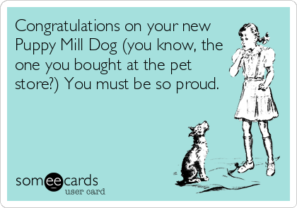 Congratulations on your new
Puppy Mill Dog (you know, the
one you bought at the pet
store?) You must be so proud.