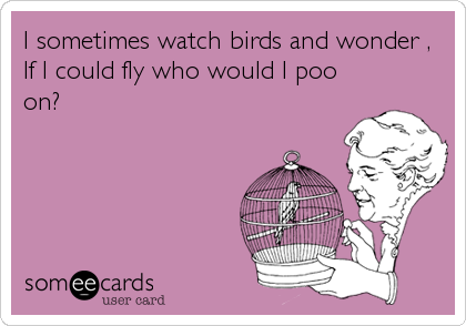 I sometimes watch birds and wonder ,
If I could fly who would I poo
on?