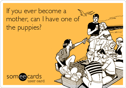 If you ever become a
mother, can I have one of 
the puppies?